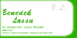 benedek lassu business card